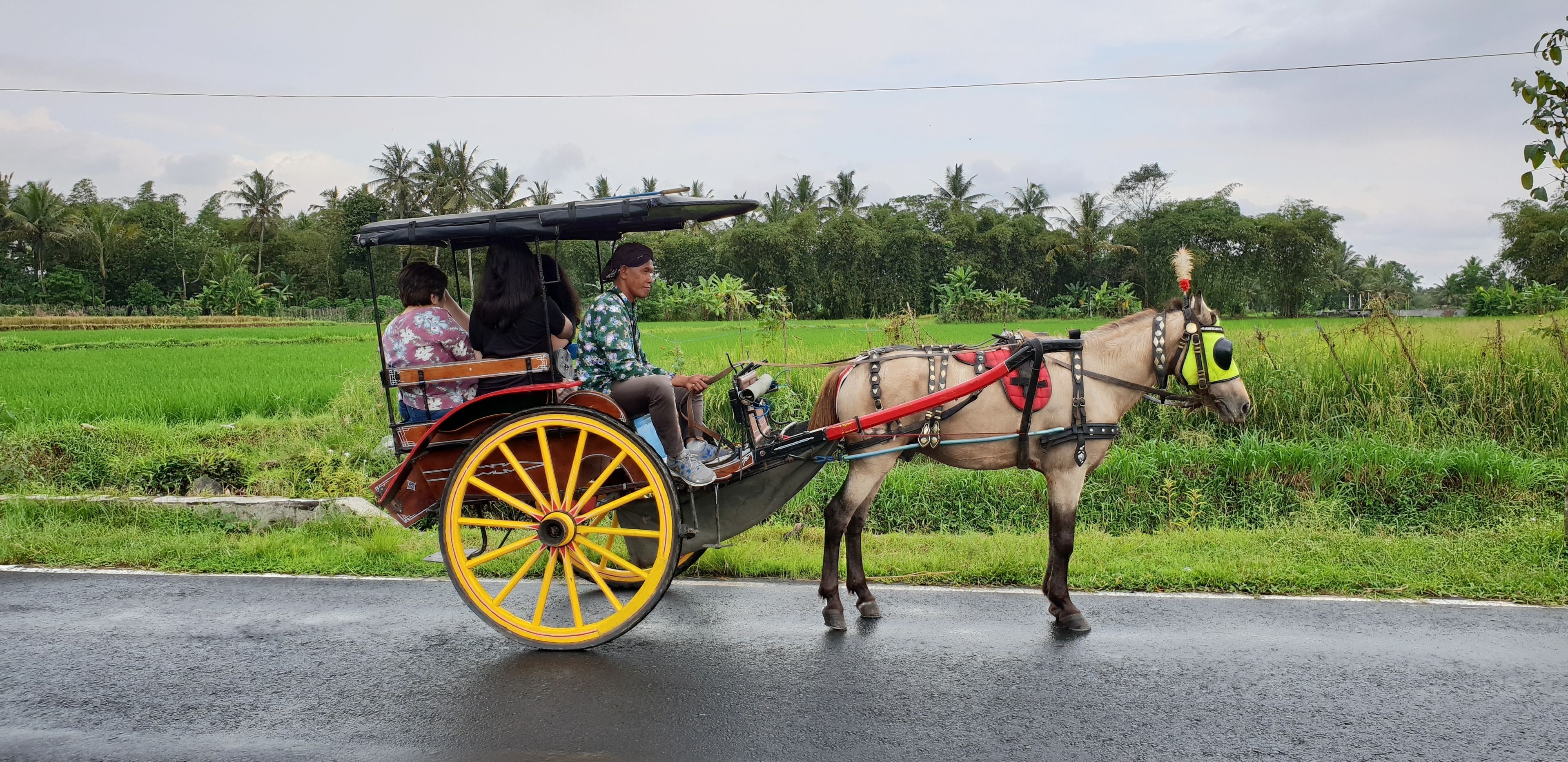 Ridning