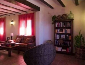 Télévision, cheminée, lecteur de DVD, livres