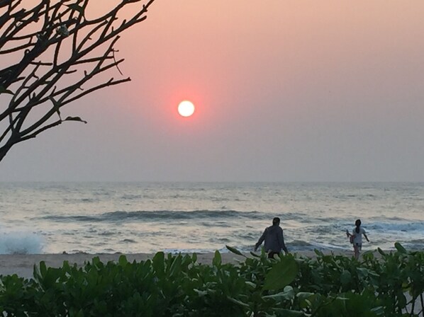 ใกล้ชายหาด