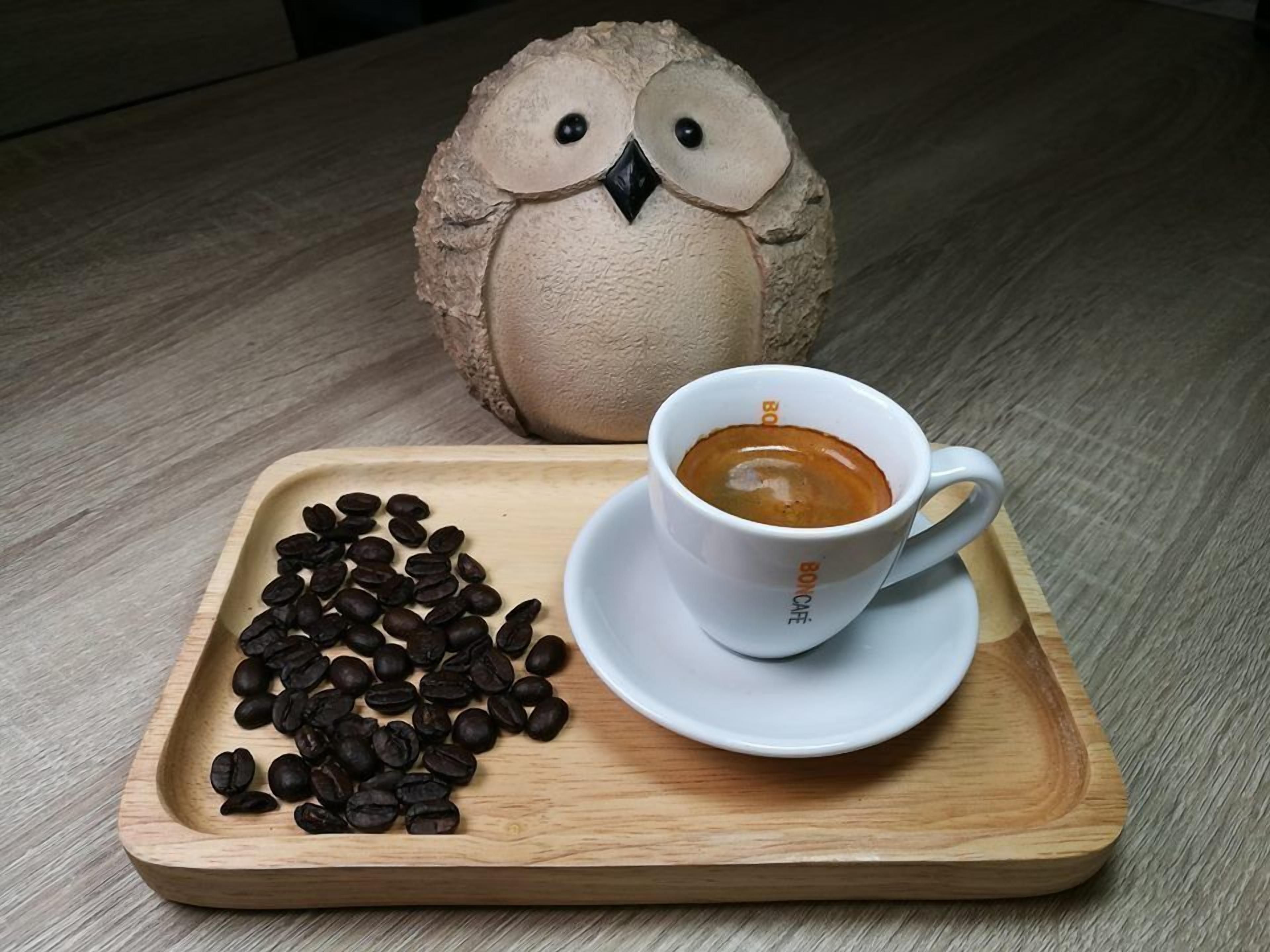Una bandeja de madera con una taza de café y un montón de granos de café, con una figurita de búho de cerámica al fondo.