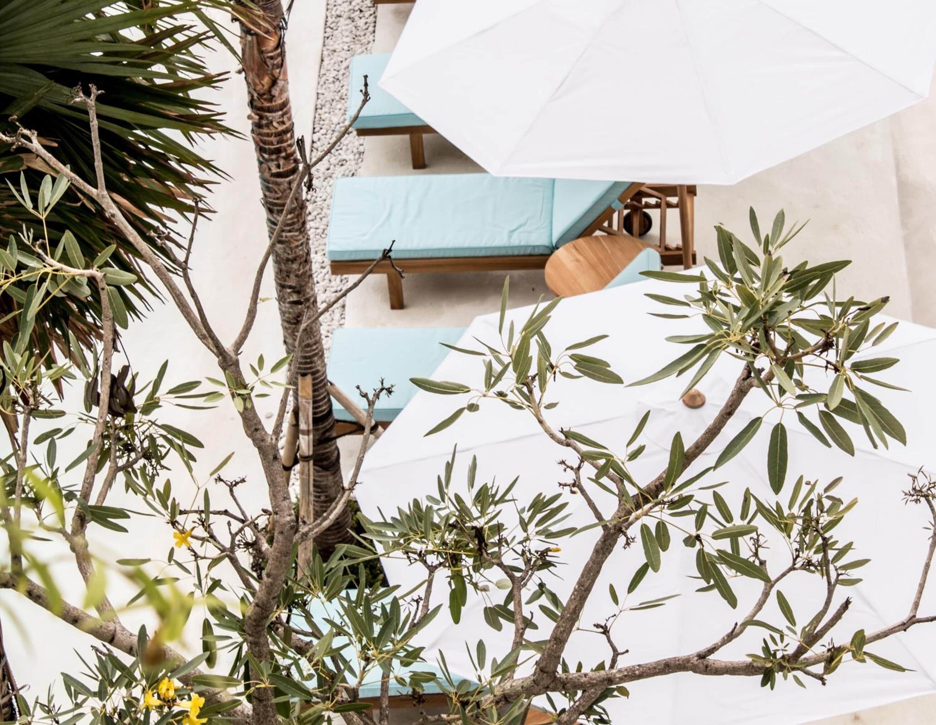 A rooftop terrace with outdoor seating and a tree.
