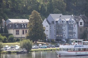 Marina - Apartment with fantastic view of river and vineyards (Bernkastel-Kues)
