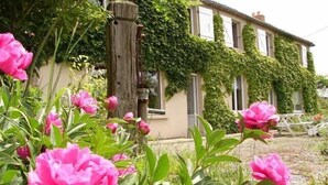 Une maison dotée d’un jardin où l’on trouve des fleurs roses et des murs recouverts de lierre.