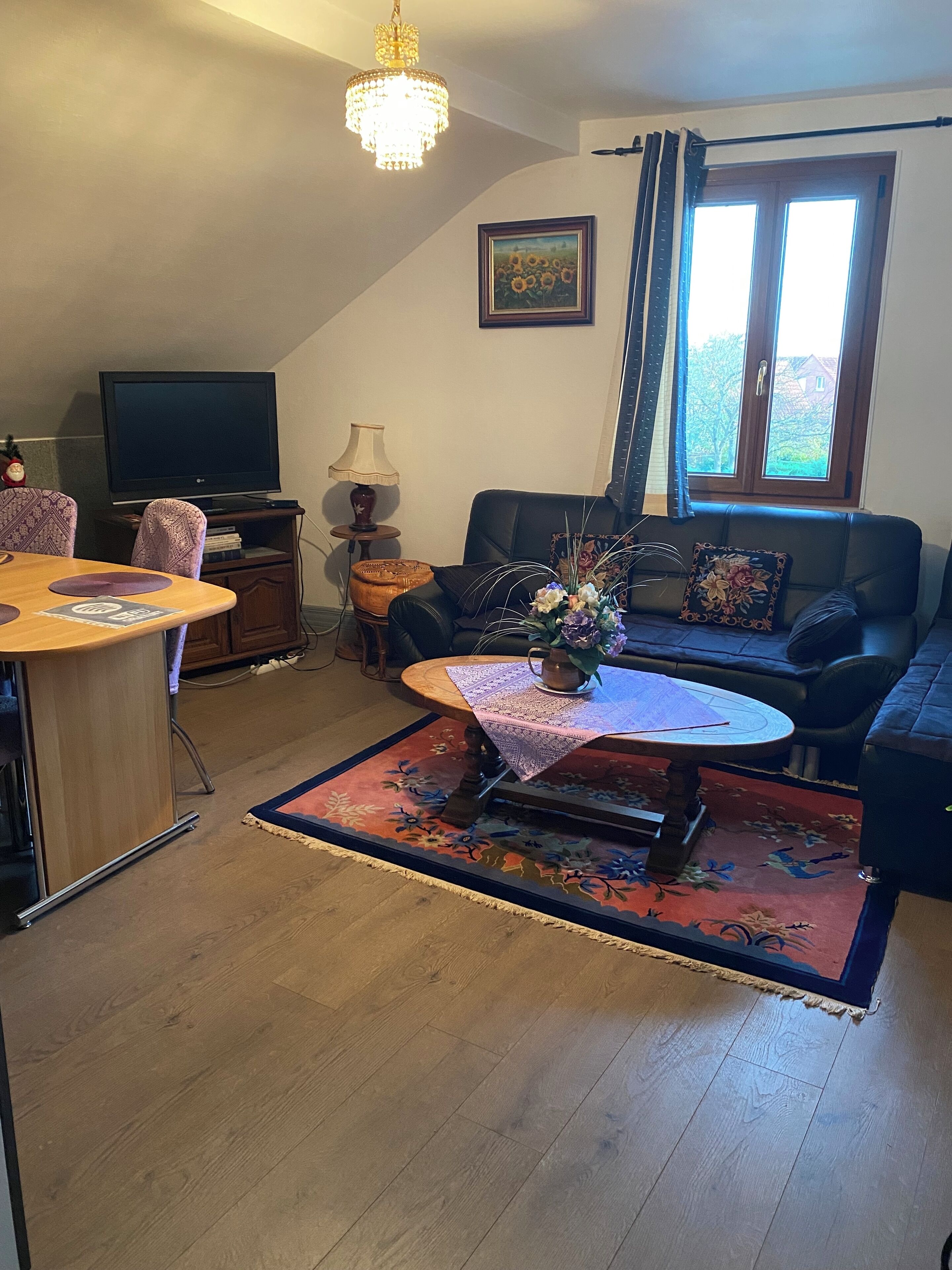 电视、DVD 播放器、书、影片库