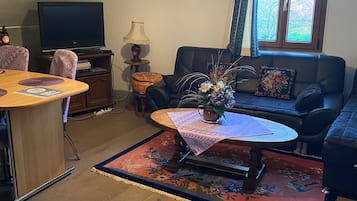TV, DVD player, books, video library