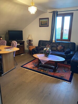 TV, DVD player, books, video library