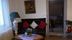 TV, DVD player, books, video library