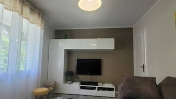 TV, fireplace, video games, DVD player