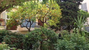 Un jardín con un árbol frutal, rodeado de diversas plantas y un edificio con balcón.