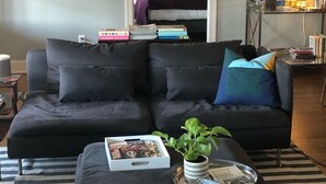 A modern living room with a black sofa, a coffee table with a plant, and a bookshelf with books.