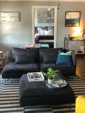 Smart TV, fireplace, DVD player, books
