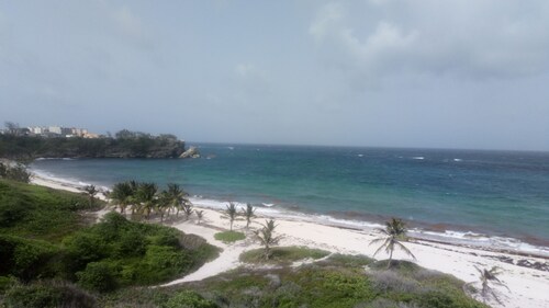 Pool Side Cottage in Barbados