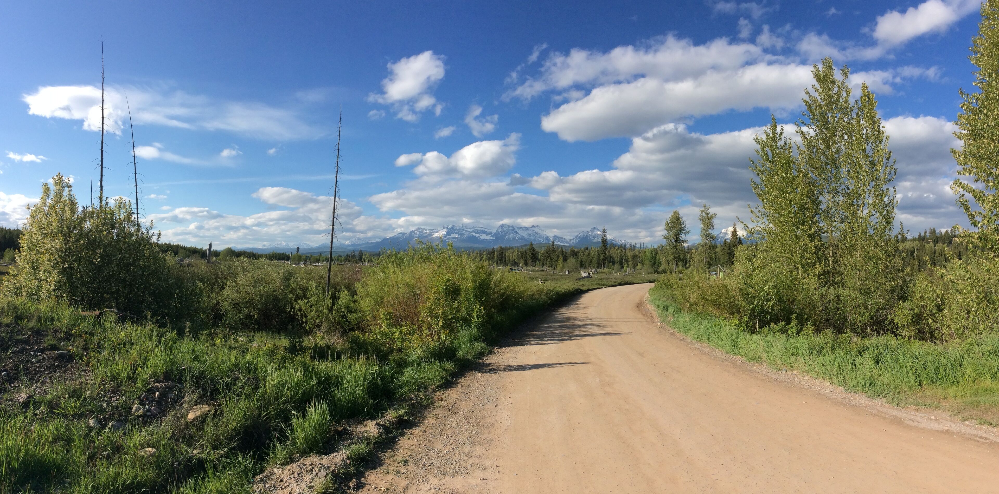 A dirt road flanked by greenery and trees, leading towards a mountainous landscape under a partly cloudy sky.
