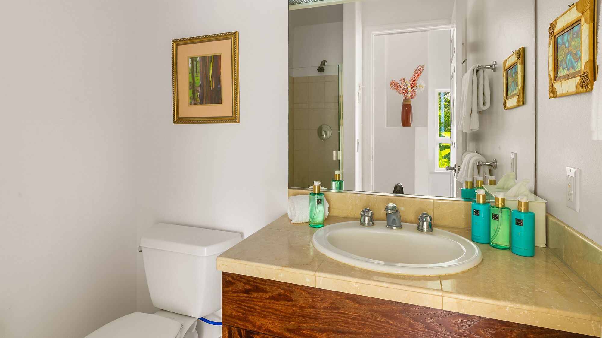 Een badkamer met toilet, wastafel en douche. Er hangen foto’s in lijsten aan de muur en er staan toiletartikelen op het aanrecht.