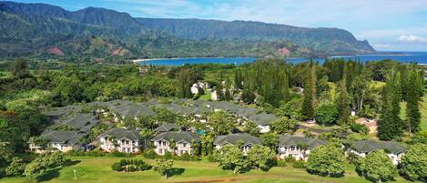 A residential area with houses, green lawns, and a view of the ocean and mountains.
