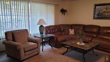 Televisión, Netflix, reproductor de DVD y servicios de streaming