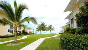 Un resort con un camino que lleva a una playa, palmeras y un edificio con balcones.