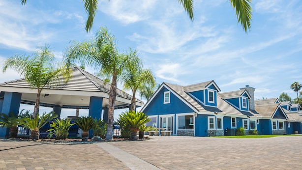 A residential area with multiple houses featuring blue exteriors and stone accents, surrounded by palm trees and a paved driveway. - Hays Family Estate in Temecula (Temecula)