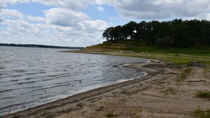 Una playa con orilla arenosa, zona verde y una hilera de árboles al fondo.