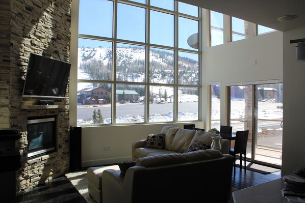 Smart TV, fireplace, DVD player, books