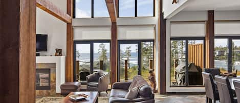 Télévision, cheminée, lecteur de DVD, livres