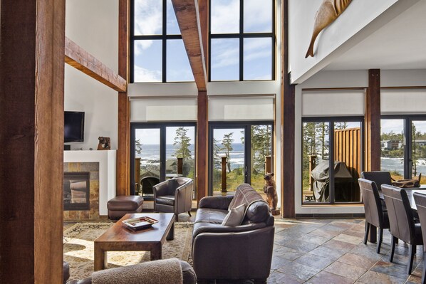 TV, fireplace, DVD player, books