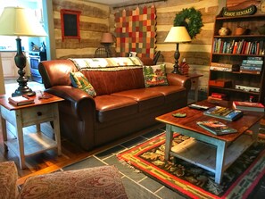 TV, caminetto, lettore DVD, libri