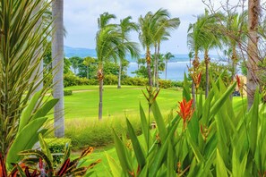 Property grounds - Hidden gem in Punta Mita with private pool, golf cart and great views. (Punta Mita)