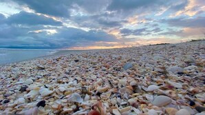 På stranden, solsenger og strandhåndklær