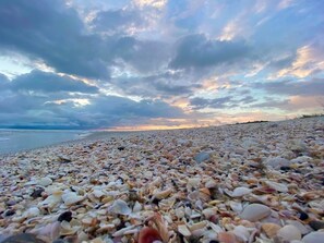 On the beach, sun loungers, beach towels