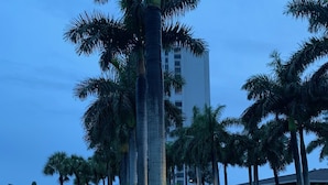 A sign for "The Royal Seafare 300" with a pathway leading to a building surrounded by palm trees. - Direct Gulf Of America Views! (Marco Island)