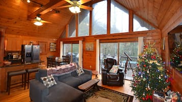 TV connectée, cheminée, jeux vidéo, lecteur de DVD