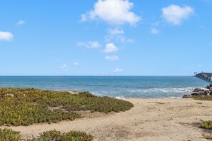 A beach with a pier extending into the ocean, sandy terrain, and sparse vegetation.
