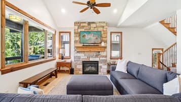 Televisión, chimenea y libros