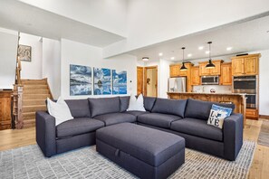 TV, fireplace, books