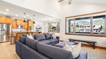 TV, fireplace, books