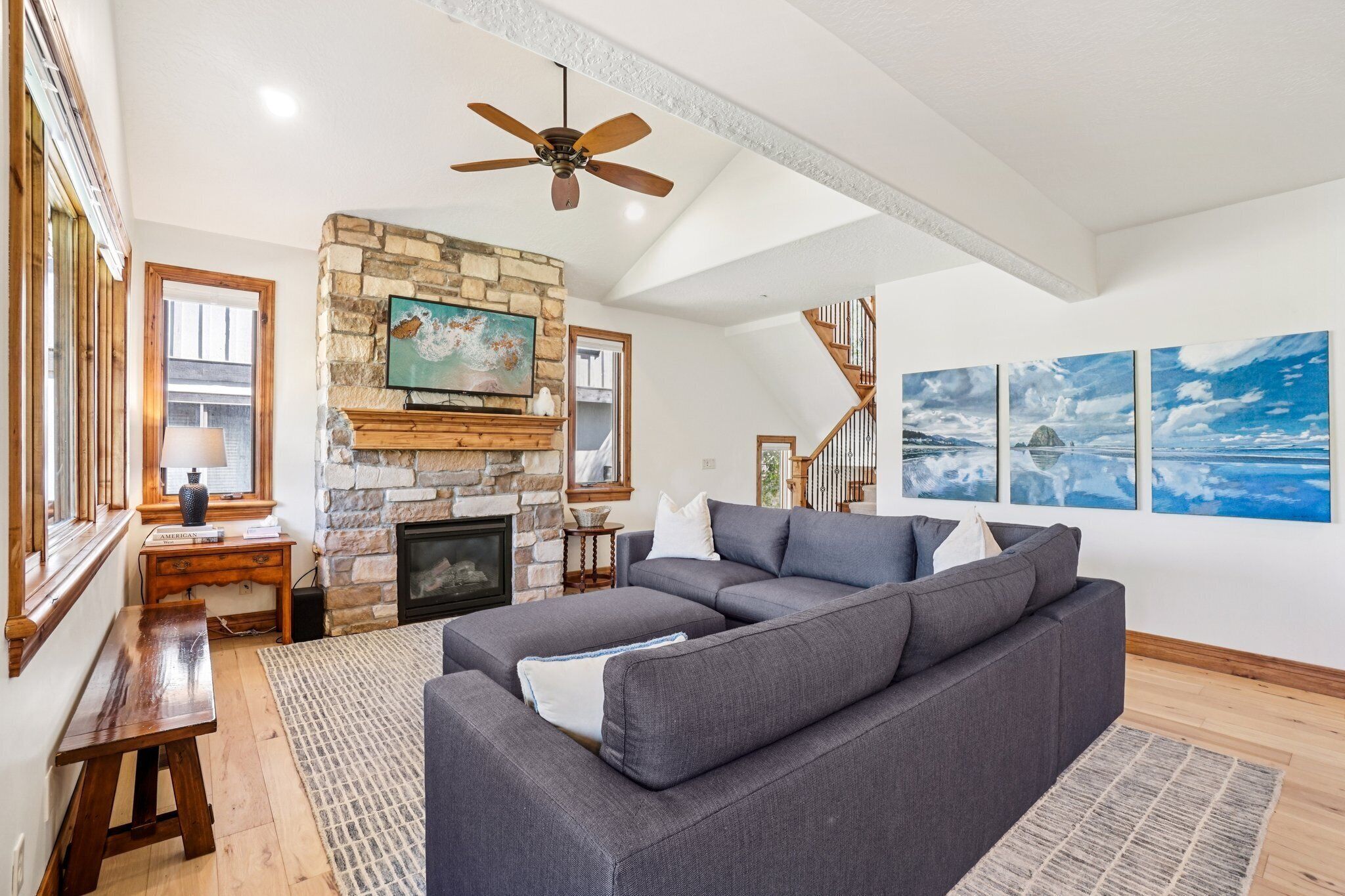 Télévision, cheminée, livres