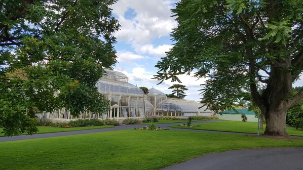 Property grounds - Victorian Townhouse close to City Centre (Phibsborough)