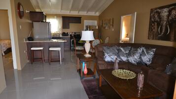 Smart TV, fireplace, DVD player, books