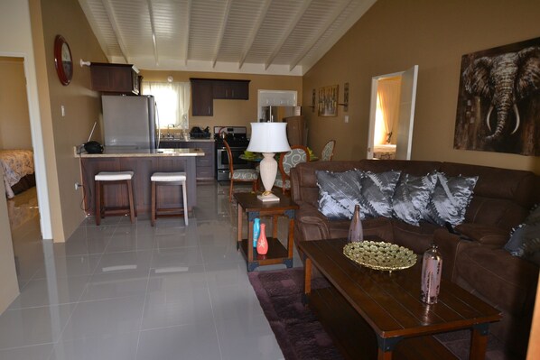 Älytelevisio, takka, DVD-soitin, kirjoja