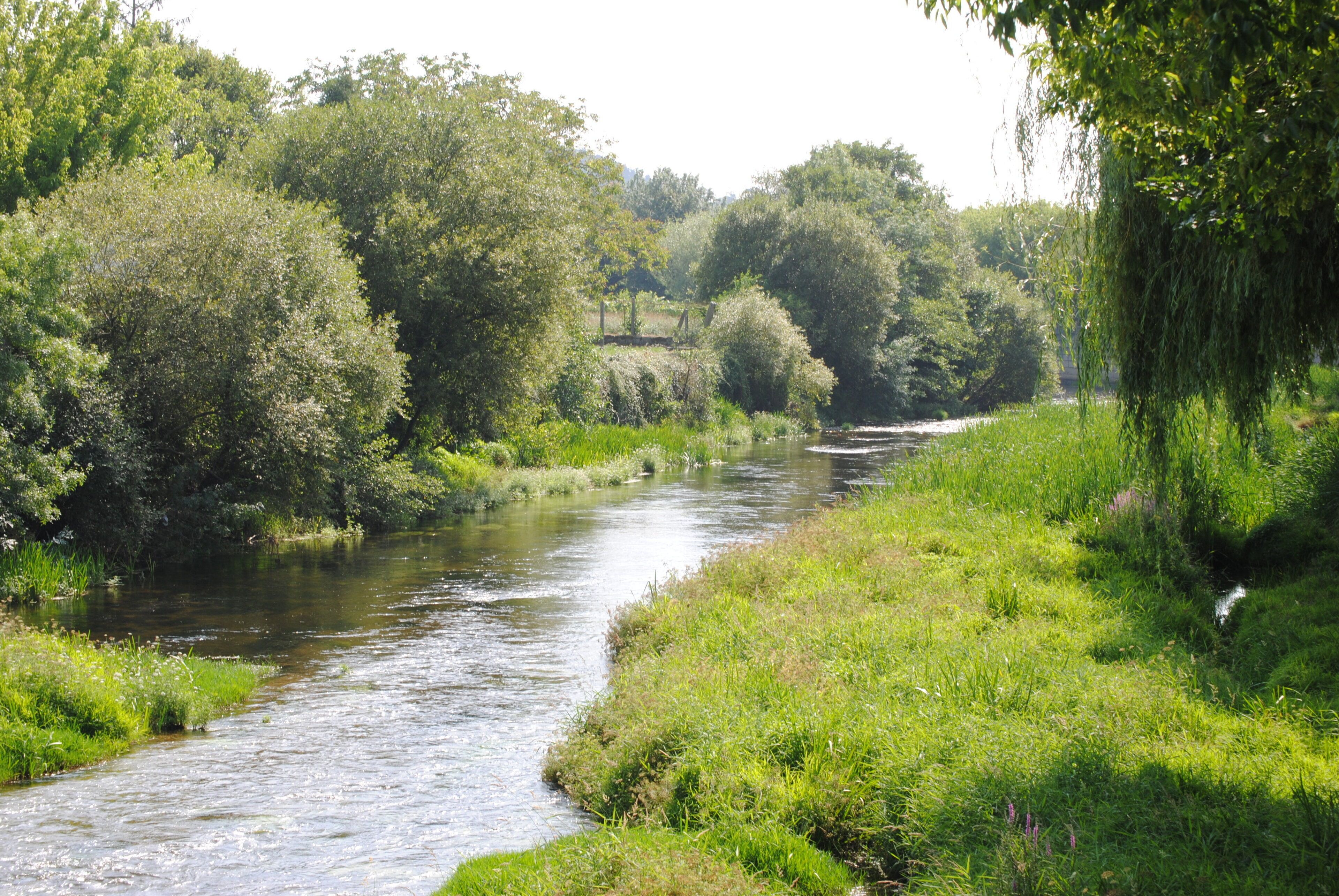 A river flowing through a lush, green landscape with dense trees and vegetation on both sides.