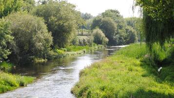 A river flowing through a lush, green landscape with dense trees and vegetation on both sides.