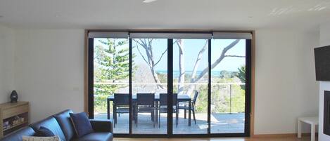 TV connectée, cheminée, lecteur de DVD