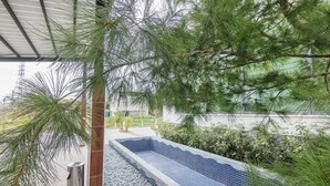 A swimming pool with blue tiles, surrounded by greenery and a metal roof structure. - The Dawn B&B (Ji'an)