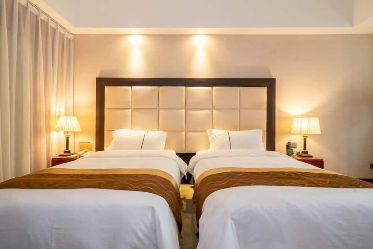 Minibar, desk, blackout drapes, rollaway beds (surcharge)