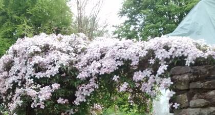 Middletown Farmhouse B&B