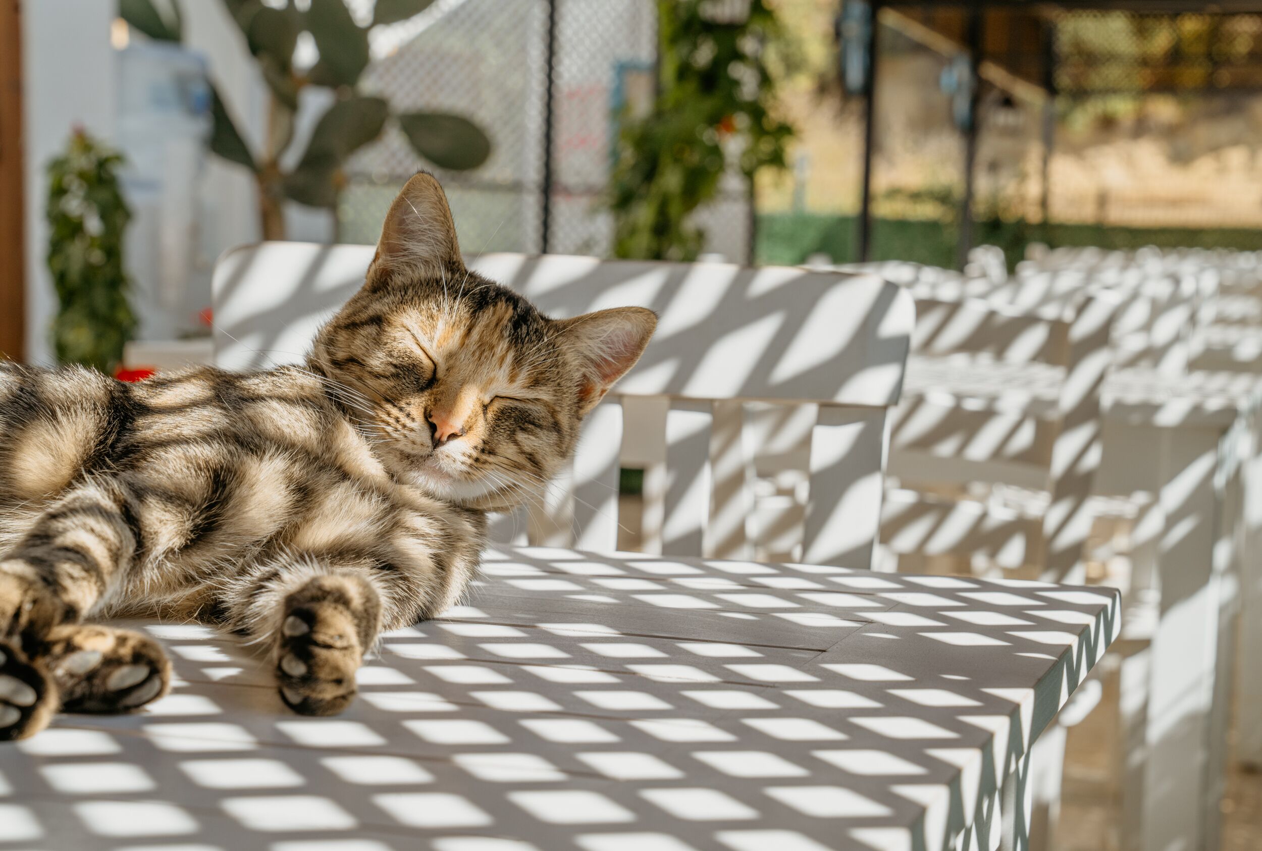 40-cm lcd tv with satellite channels, tv