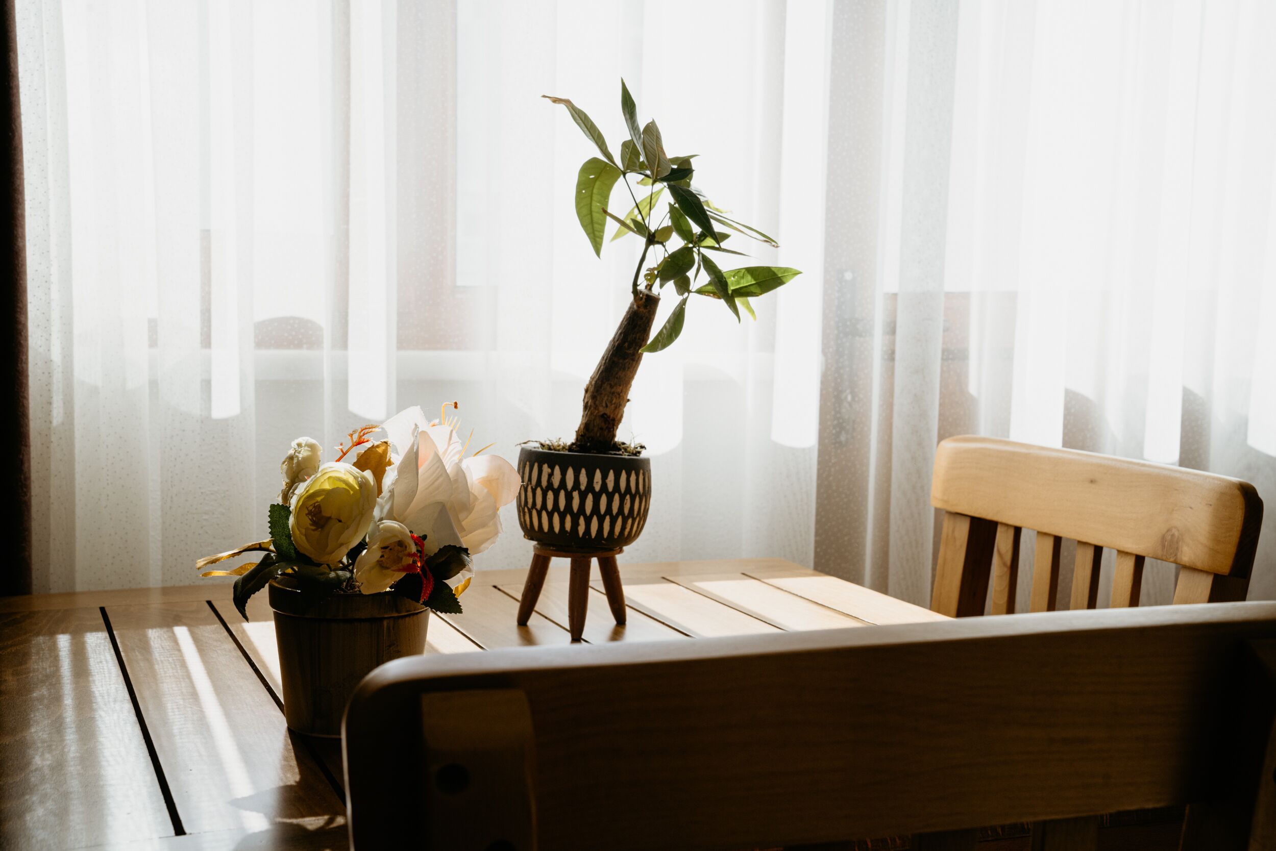 Familien-Suite, Küche | Wohnbereich | 40-cm-LCD-Fernseher mit Satellitenempfang, Fernseher