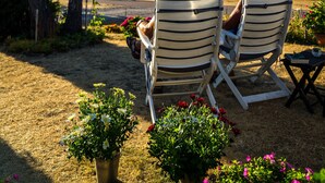 Dos sillones a rayas bajo un árbol, una mesita y plantas en macetas.