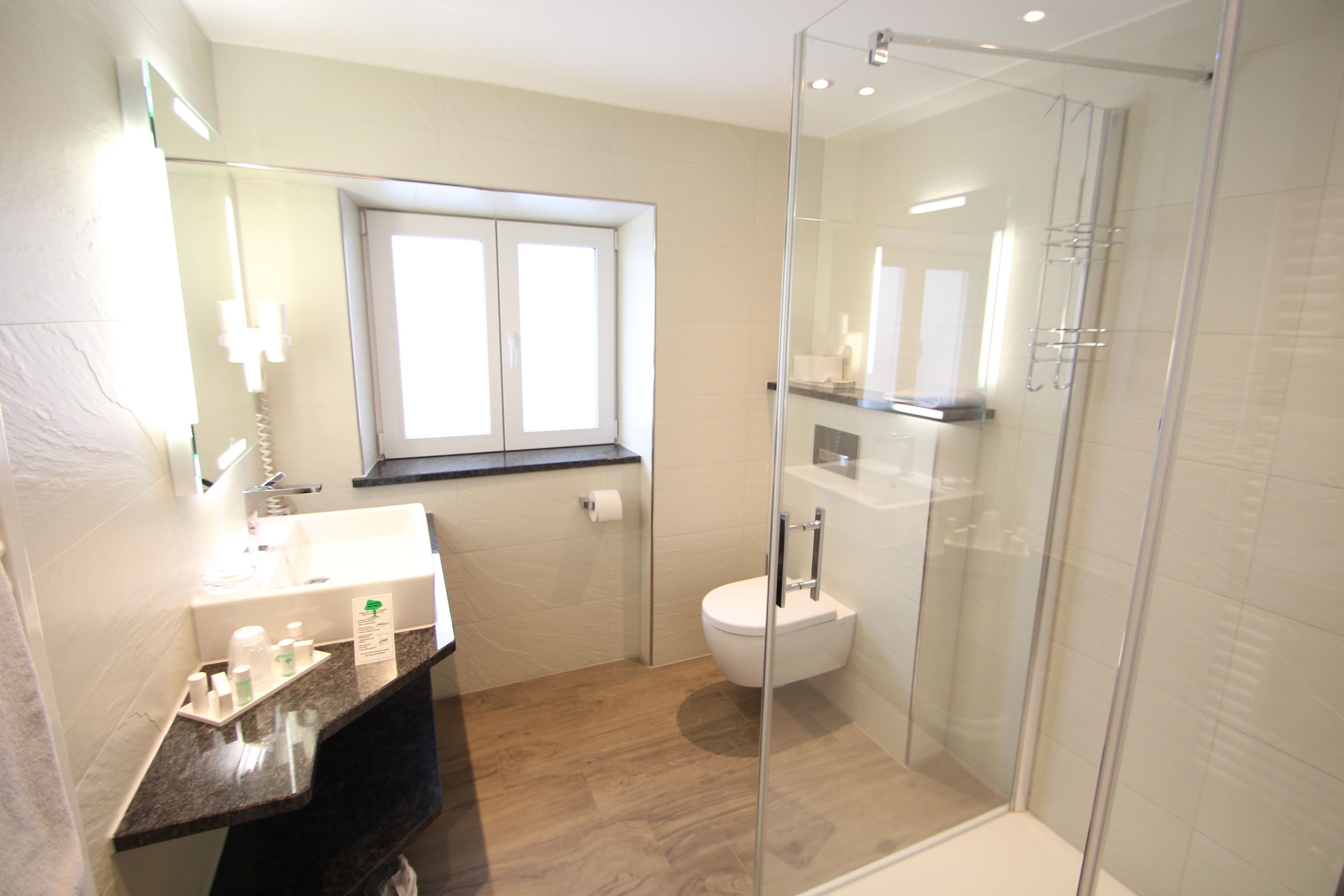 A modern bathroom with a glass-enclosed shower, a toilet, and a sink with toiletries.